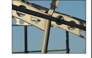 Special Details image 3